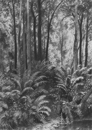 森林中的蕨类植物 Ferns in the forest (1877)，伊万·希什金