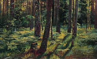 森林里的蕨类植物。西维尔斯卡娅 Ferns in the forest. Siverskaya (1883)，伊万·希什金