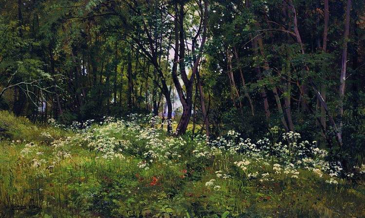 森林边缘的花朵 Flowers on the forest edge (1893)，伊万·希什金