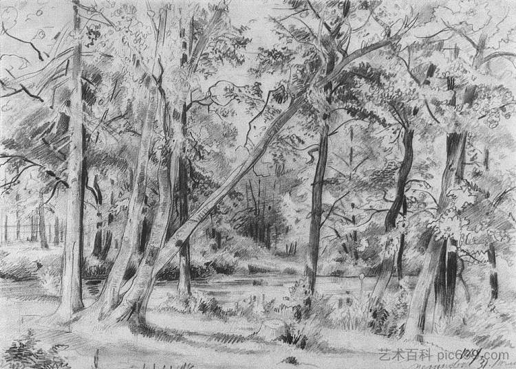 森林 Forest (1869)，伊万·希什金