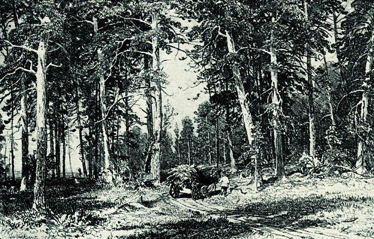 森林 Forest (1876)，伊万·希什金