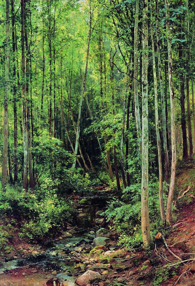 森林白杨 Forest-aspen (1896)，伊万·希什金