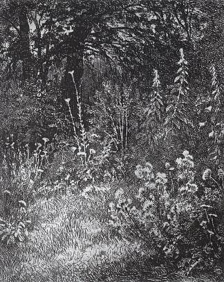 森林花卉 Forest flowers (1873)，伊万·希什金