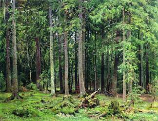 莫尔德维诺沃的森林 Forest in Mordvinovo (1891)，伊万·希什金