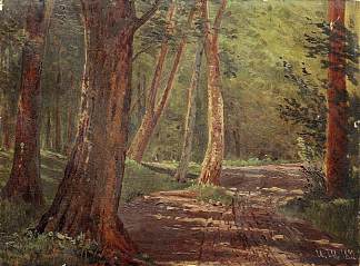 森林道路 Forest road (1892)，伊万·希什金