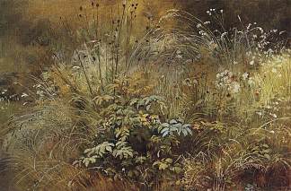 草 Grass (1892)，伊万·希什金