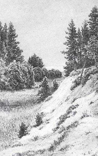 在塞斯特罗列茨克 In Sestroretsk (1886)，伊万·希什金
