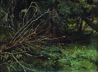 在冷杉林中 In the fir forest，伊万·希什金