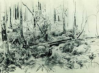 在森林灌木丛中 In the forest thicket，伊万·希什金