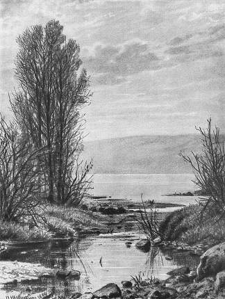 湖岸 Lakeshore (1884)，伊万·希什金