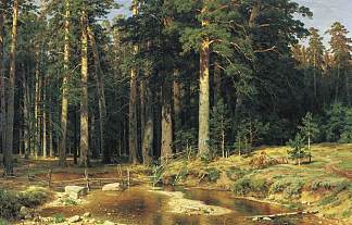 桅杆树林 Mast Tree Grove (1898)，伊万·希什金