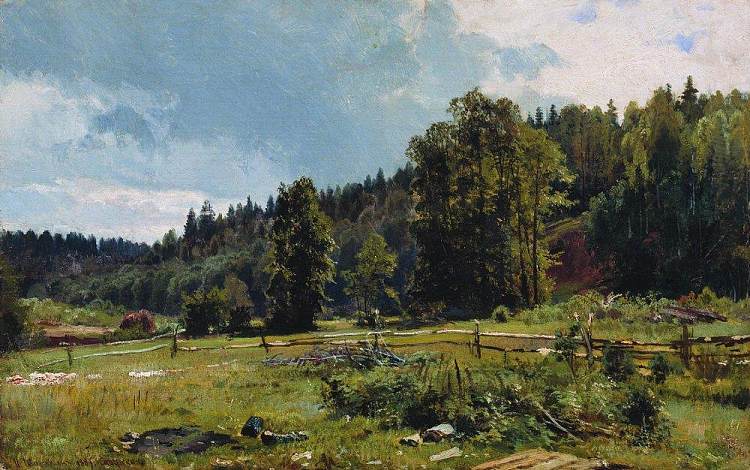 森林边缘的草地。西维尔斯卡娅 Meadow at the forest edge. Siverskaya (1887)，伊万·希什金
