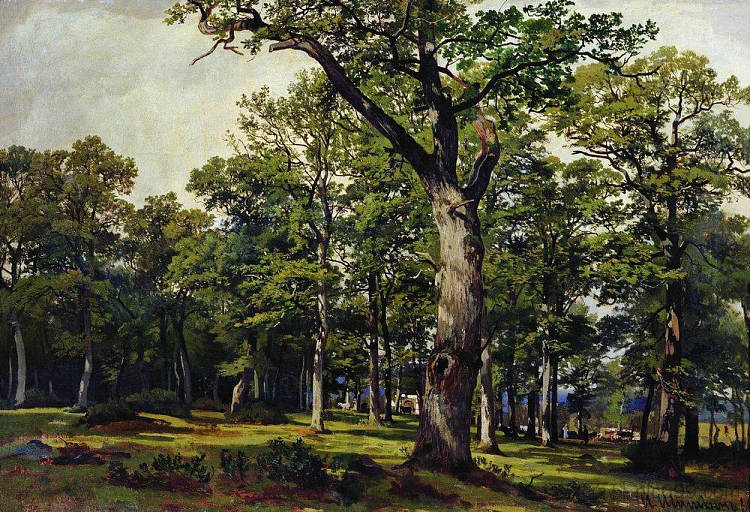 橡树林 Oak forest (1869)，伊万·希什金