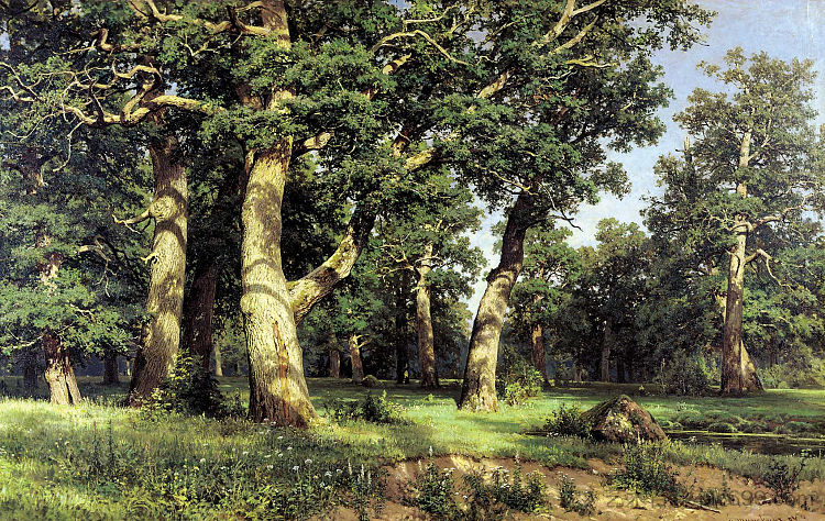 橡树林 Oak Grove (1887)，伊万·希什金