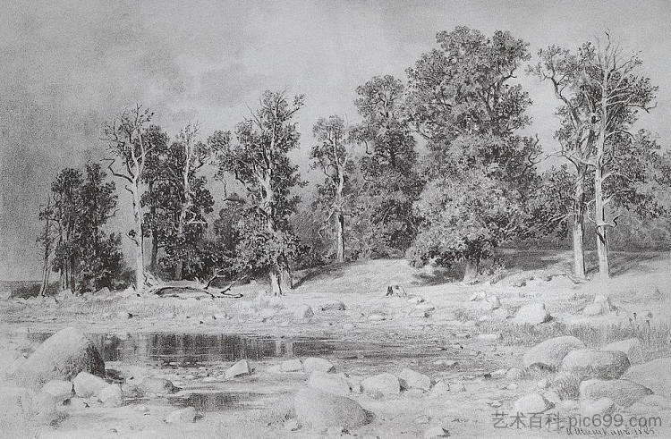塞斯特罗列茨克海湾沿岸的彼得大帝橡树林 Oak Grove of Peter the Great on the coast of the Gulf in Sestroretsk (1885)，伊万·希什金