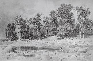 塞斯特罗列茨克海湾沿岸的彼得大帝橡树林 Oak Grove of Peter the Great on the coast of the Gulf in Sestroretsk (1885)，伊万·希什金