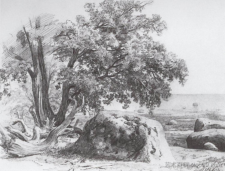 芬兰湾岸边的橡树 Oak on the shore of the Gulf of Finland (1857)，伊万·希什金