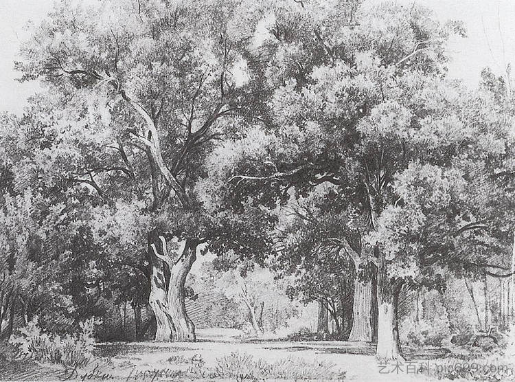 橡树 Oaks (1857)，伊万·希什金