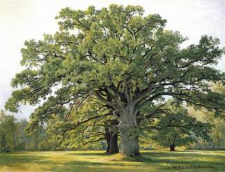 老彼得夏宫的橡树 Oaks in Old Peterhof (1891)，伊万·希什金