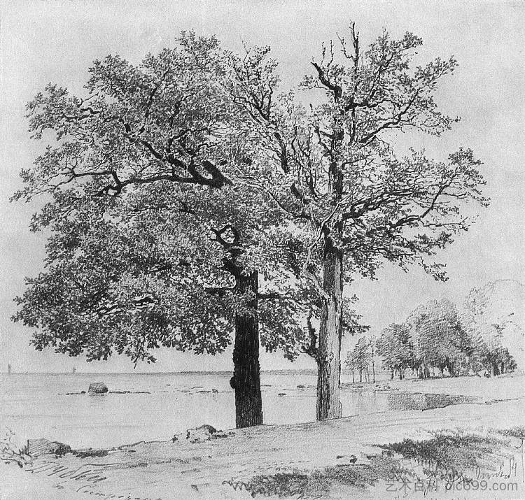 塞斯特罗列茨克的橡树 Oaks in Sestroretsk，伊万·希什金