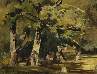 阳光下的橡树 Oaks in sunlight，伊万·希什金