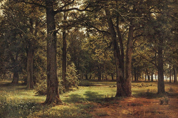 塞斯特罗列茨克的彼得大帝橡树 Oaks of Peter the Great in Sestroretsk (1886)，伊万·希什金