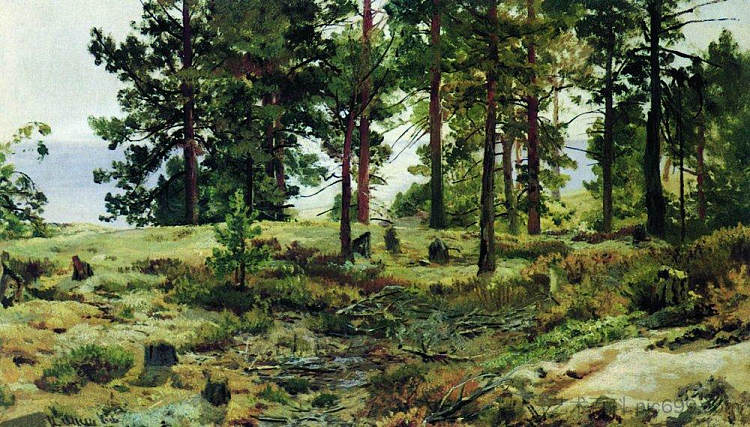 在沙质土壤上。玛丽-豪伊谈芬兰铁路 On sandy soil. Mary-Howie on Finnish Railways (1889 - 1890)，伊万·希什金