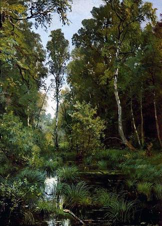 森林边缘杂草丛生的池塘。西维尔斯卡娅 Overgrown pond at the edge of the forest. Siverskaya (1883)，伊万·希什金