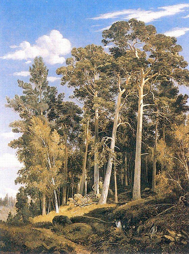 松林 Pine forest (1866)，伊万·希什金