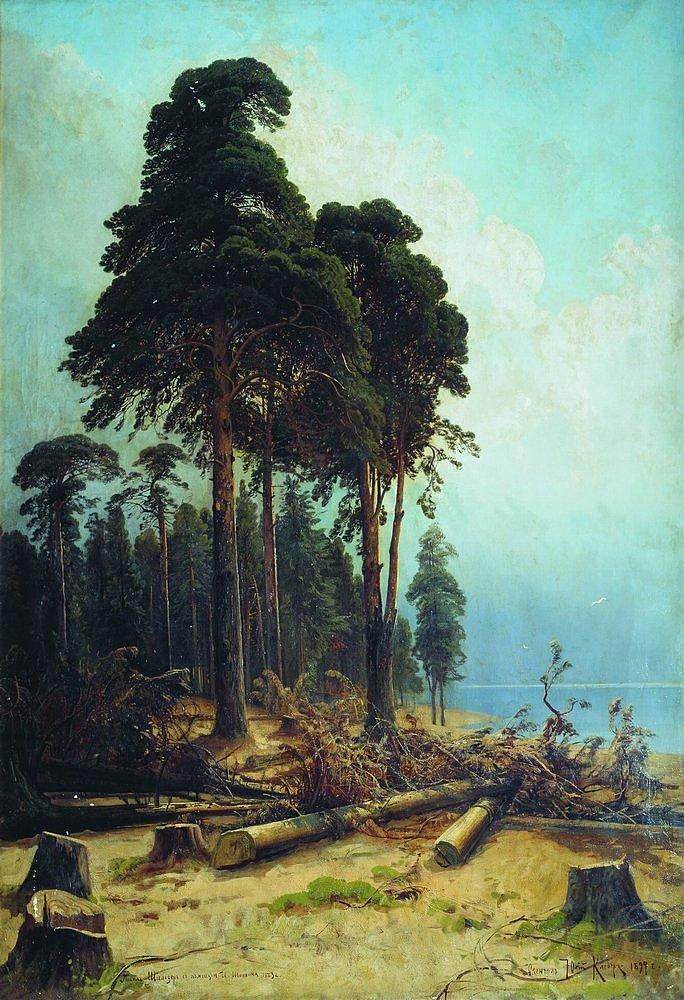 松林 Pine forest (1883 - 1884)，伊万·希什金