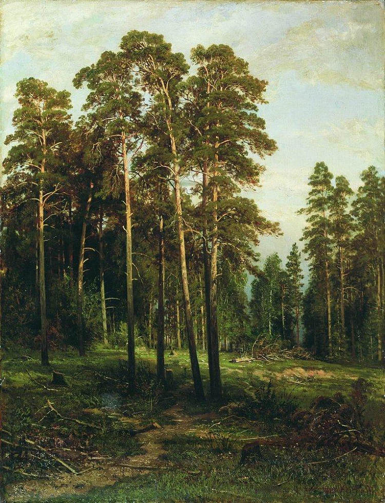 松林 Pine forest，伊万·希什金