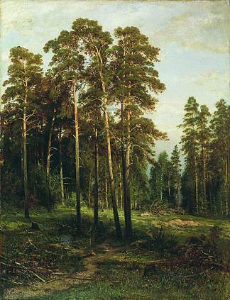 松林 Pine forest，伊万·希什金
