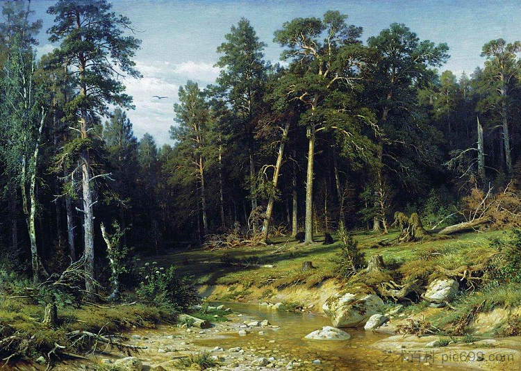 维亚特卡省的松树林 Pine Forest in Vyatka Province (1872)，伊万·希什金