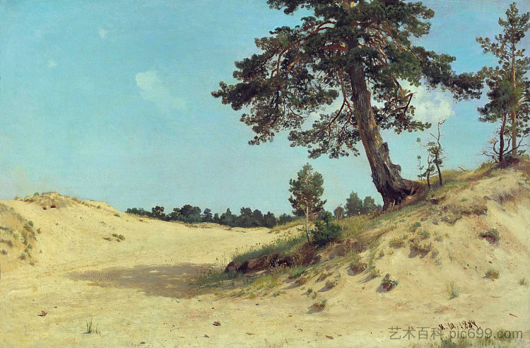 沙滩上的松树 Pine on sand (1884)，伊万·希什金