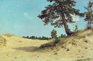 沙滩上的松树 Pine on sand (1884)，伊万·希什金