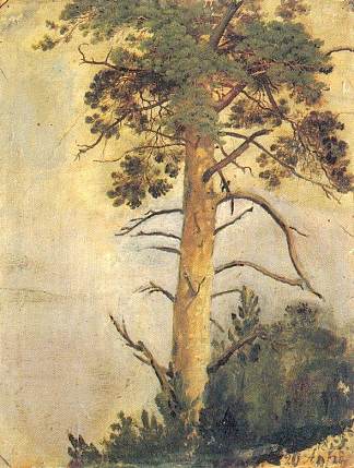 悬崖上的松树 Pine on the cliff (1855)，伊万·希什金