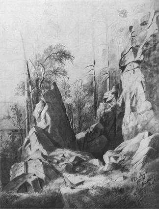 瓦拉姆岛上的岩石。国光 Rocks on the island of Valaam. Kukko (1859)，伊万·希什金