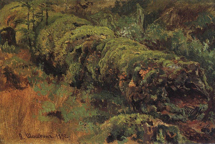 腐烂的木头,长满了青苔 Rotten wood, covered with moss (1890),伊万·希什金