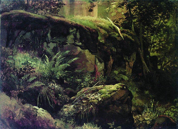 森林里的石头。瓦拉姆 Stones in the forest. Valaam (1858 - 1860)，伊万·希什金