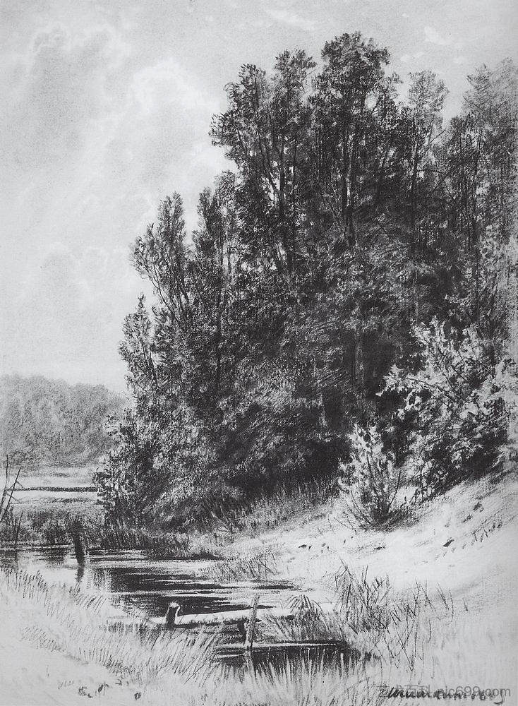 流 Stream (1883)，伊万·希什金