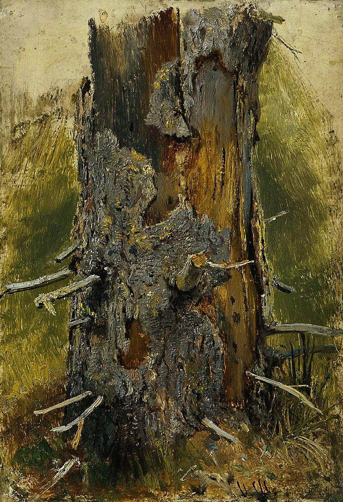 干燥树干上的树皮 The bark on the dry trunk (1889 - 1890)，伊万·希什金