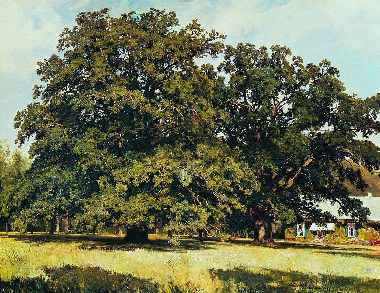 莫德维诺沃橡树 The Mordvinovo Oaks (1891),伊万·希什金