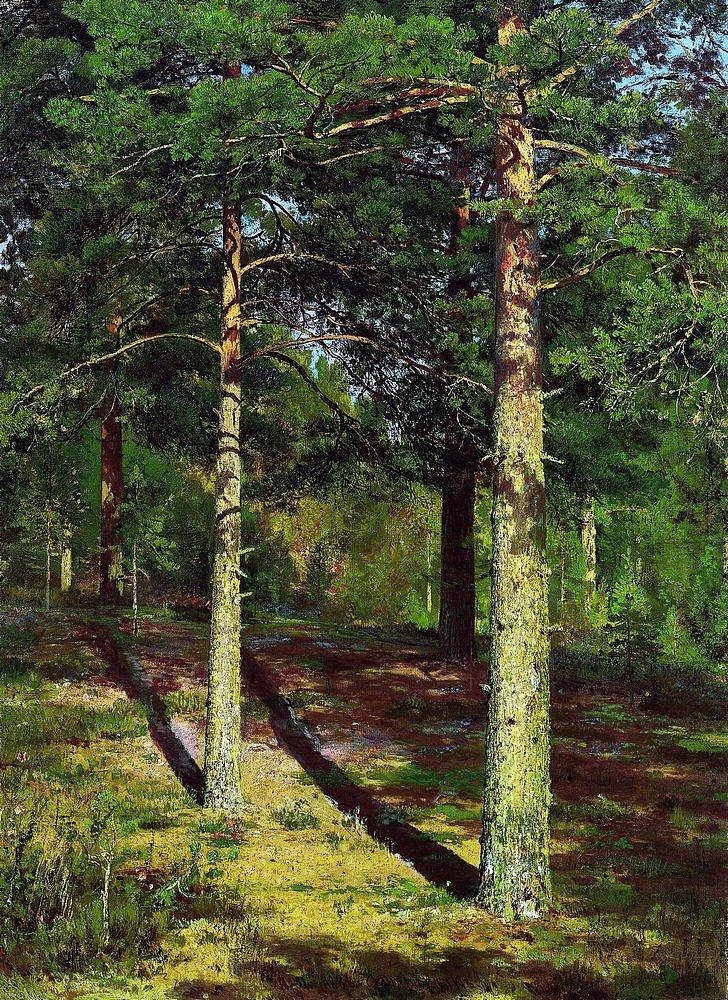 阳光照亮松树 The Sun lit Pines (1886)，伊万·希什金