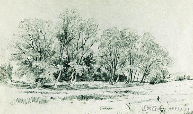 田野里的树木。布拉采沃 Trees in the field. Bratsevo (1866)，伊万·希什金