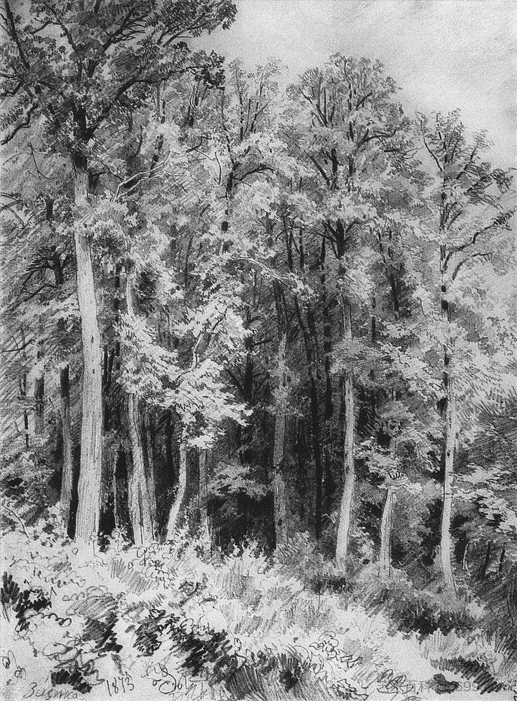 树。科兹洛夫卡-扎塞卡 Trees. Kozlovka-Zaseka (1873)，伊万·希什金