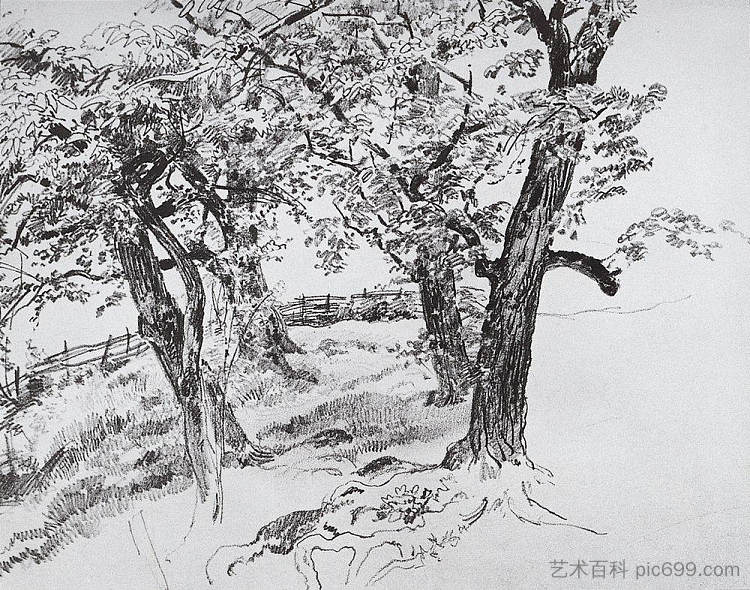 树 Trees,伊万·希什金