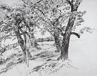 树 Trees，伊万·希什金