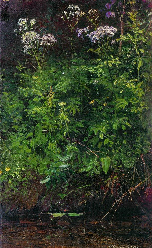 水边的野花 Wildflowers near the water (1889 - 1890)，伊万·希什金