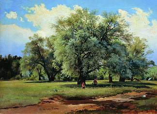 被太阳照亮的柳树 Willows Lit Up by the Sun，伊万·希什金