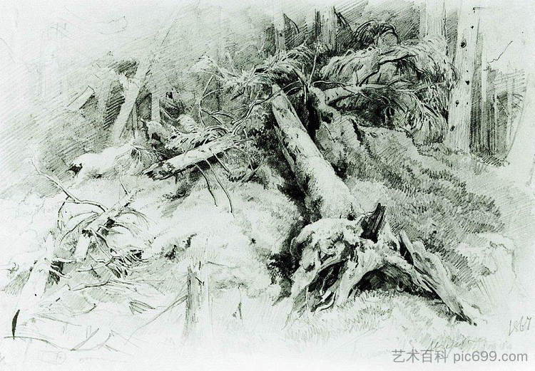 风倒下的树木 Wind Fallen Trees (1867)，伊万·希什金